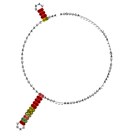 secondary structure