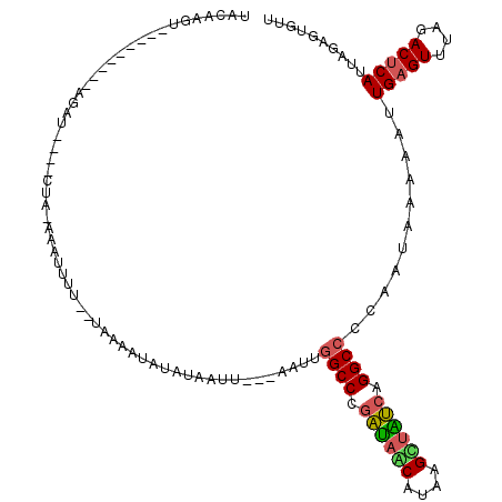 secondary structure