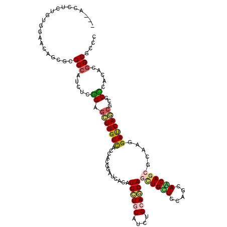 secondary structure