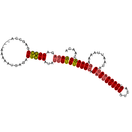 secondary structure
