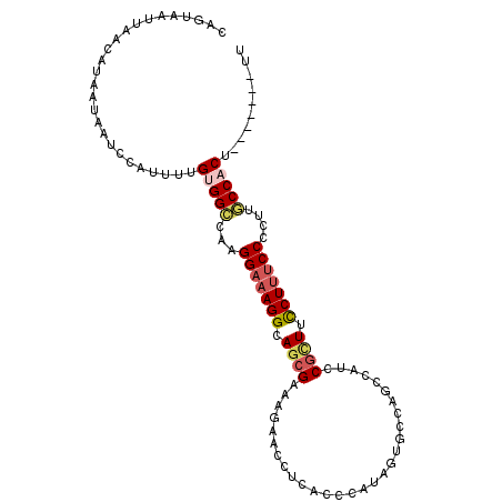 secondary structure