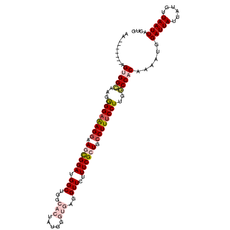 secondary structure