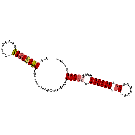 secondary structure