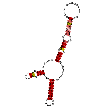 secondary structure
