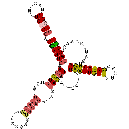 secondary structure