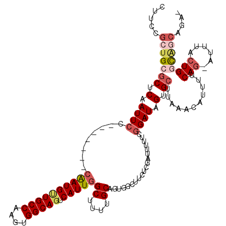 secondary structure