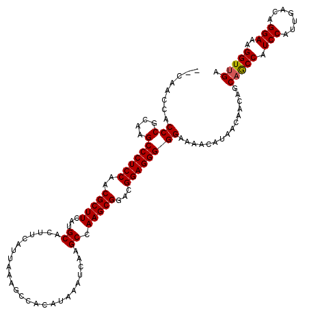secondary structure