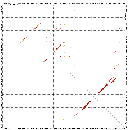 dotplot
