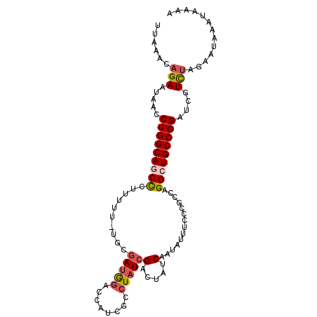 secondary structure