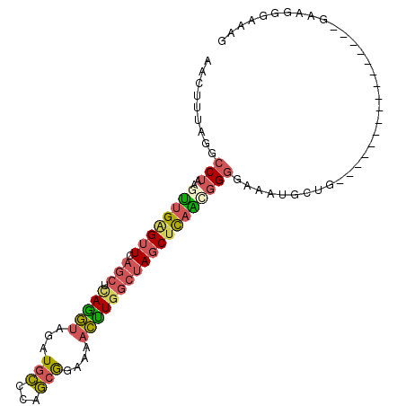 secondary structure