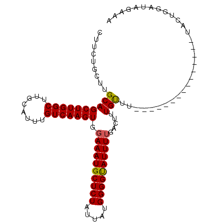 secondary structure