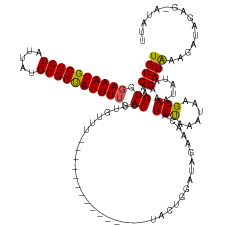secondary structure
