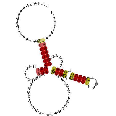secondary structure