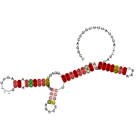 secondary structure