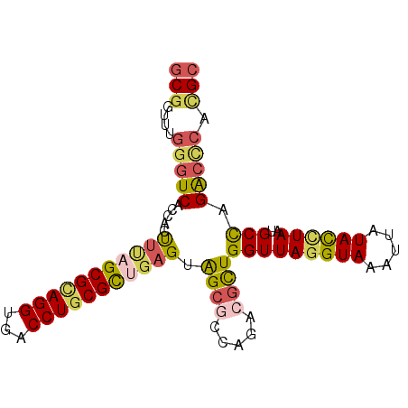 secondary structure