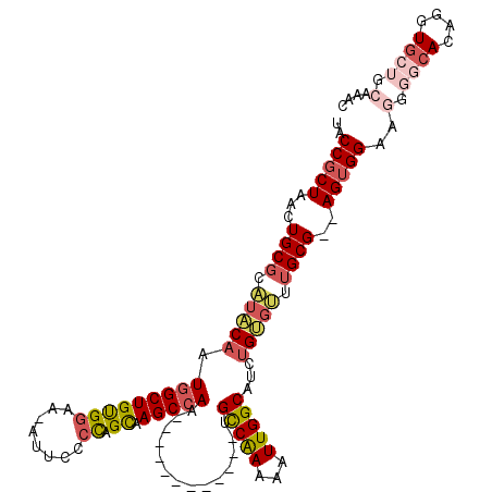 secondary structure