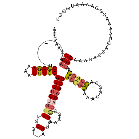 secondary structure