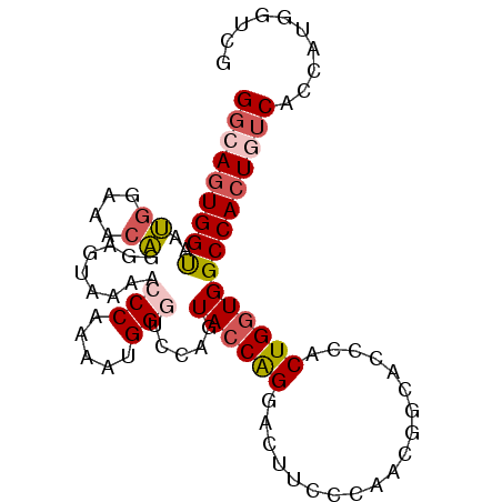 secondary structure