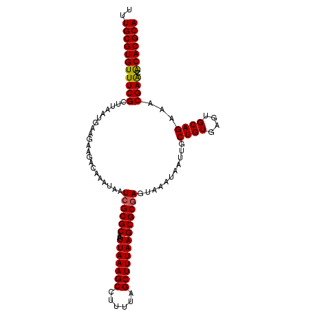 secondary structure