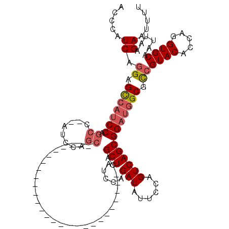secondary structure