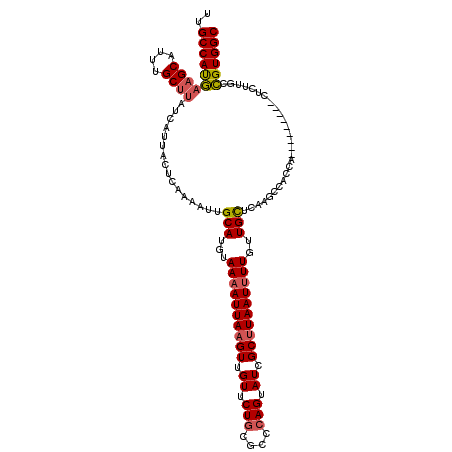 secondary structure