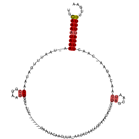 secondary structure