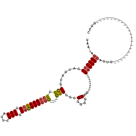 secondary structure