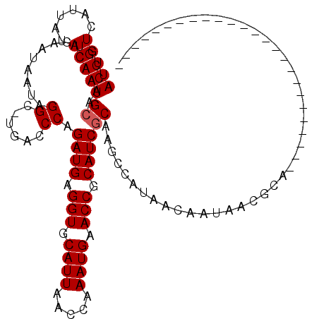 secondary structure