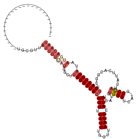 secondary structure