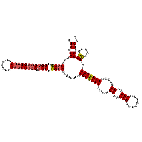 secondary structure