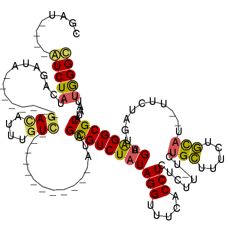 secondary structure