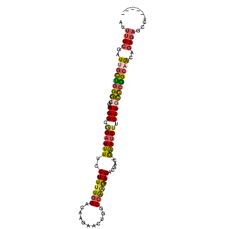 secondary structure