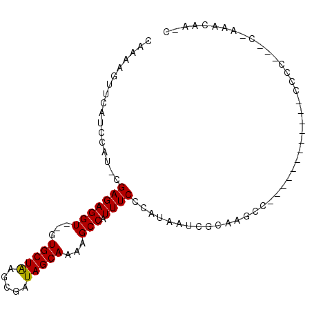 secondary structure