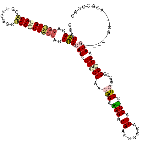 secondary structure