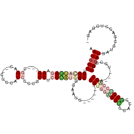 secondary structure