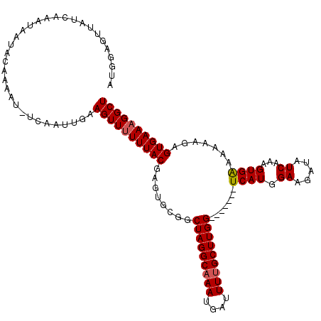 secondary structure