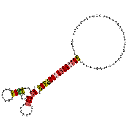 secondary structure