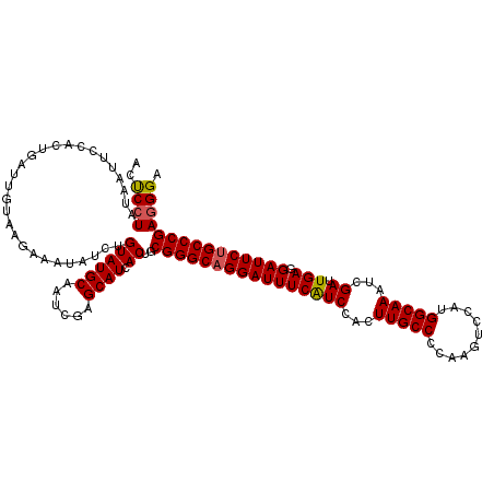 secondary structure