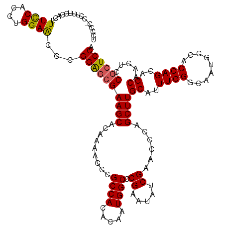 secondary structure