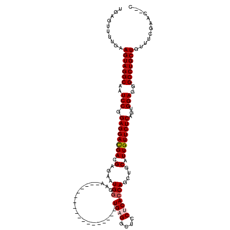 secondary structure