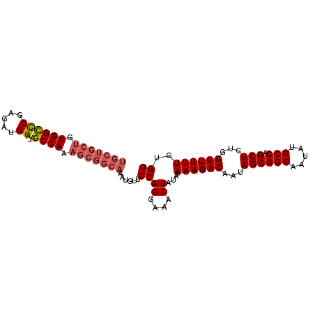 secondary structure