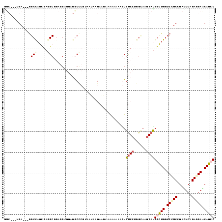 dotplot