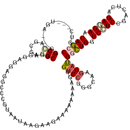 secondary structure