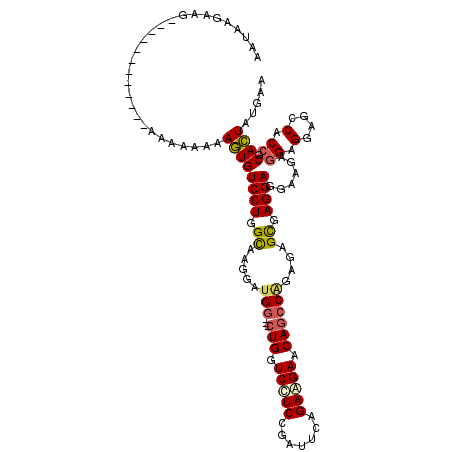 secondary structure