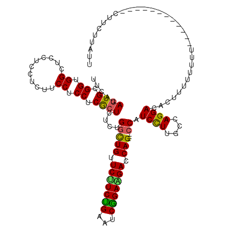 secondary structure