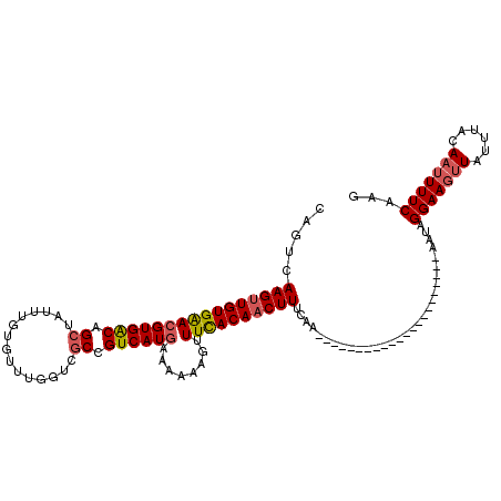 secondary structure