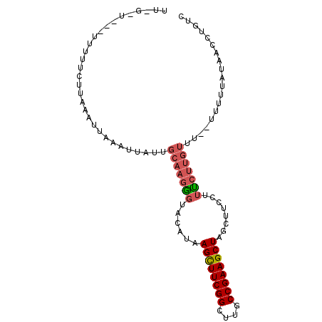 secondary structure