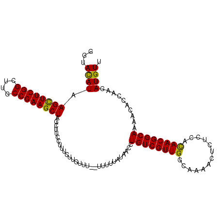 secondary structure