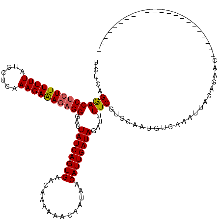 secondary structure