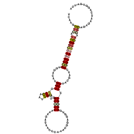secondary structure